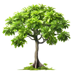 Obraz premium illustration a small tall tree isolate transparent background