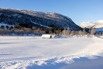 frozen lake in winder landscape 