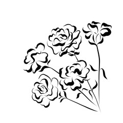 Line drawing. Line art of a bouquet of flowers peonies, roses.