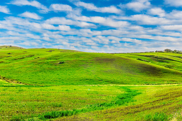 green spring hills with young grass and amazing growing fields and hills with beautiful bright cloudy sunset on background of rural landscape