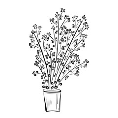Line drawing. Line art of a bouquet of plants in a vase.