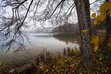 Obraz premium Jezioro Komorze