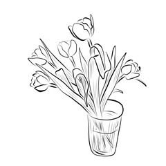 Line drawing. Line art of tulip bouquet in vase. Vector