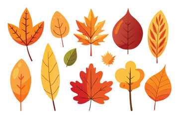 Fototapeta premium Single minimal set of assorted autumn leaves