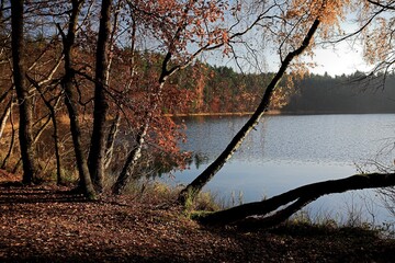 Jesień nad jeziorem