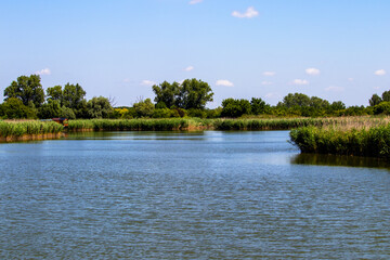fishing house on the lake shore among the reeds