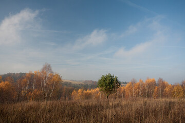 Jesień na pomorzu © Robert