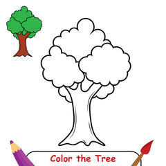 Color the Tree drawing illustration. coloring book for kids. Tree coloring page. vector illustration