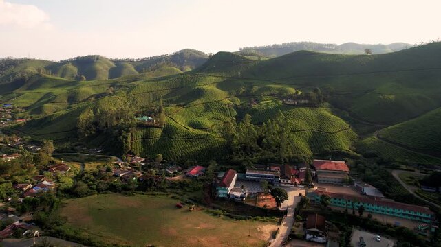 tea factory in munnar india, aerial view. kerala, tea production