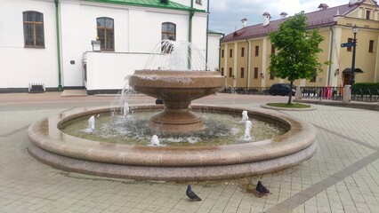 A pool with a fountain is located among the buildings on a tiled area. Nearby pigeons walk, a tree grows, a fence, a barrier and a pole with a lighting lantern are installed. Cloudy spring weather