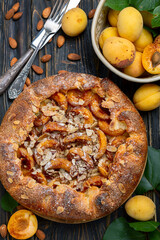 Open pie (galette) with apricots and almonds.