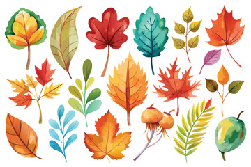 Fototapeta premium Autumn leaves watercolor set featuring vibrant hues of crimson, amber, and gold.