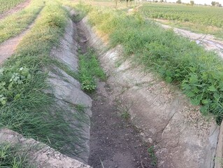 stone path in the garden