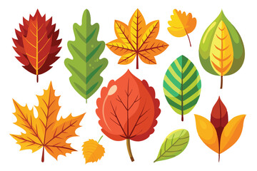 Obraz premium Adobe Illustrator Artwork