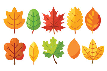 Autumnal leaves in vibrant hues of red, gold, and orange