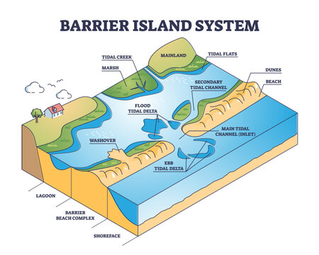 Barrier island systems as dune type and coastal landforms outline diagram, transparent background. Labeled educational beach.