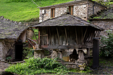 Cozy stone cottage with thatched roof and village setting. Rustic rural scene with grassy area and trees. Asturias, Spain