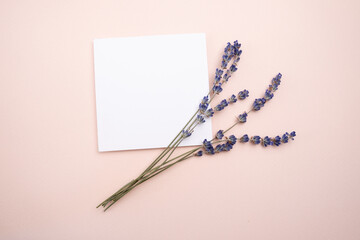 Paper greeting card with lavender flowers on color background, top view. Paper card mockup with copy space for design, print, wedding and invitation. International Women's Day, Mother's Day concept