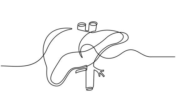 recommend clip art: Continuous one line drawing of human lungs. One line of anatomical human lungs. Medical internal concept continuous line art, Liver human organ drawn by one line. Anatomical sketch.