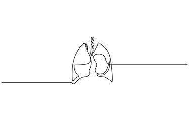 Continuous one line drawing of human lungs. One line of anatomical human lungs. Medical internal concept continuous line art, Liver human organ drawn by one line. Anatomical sketch.