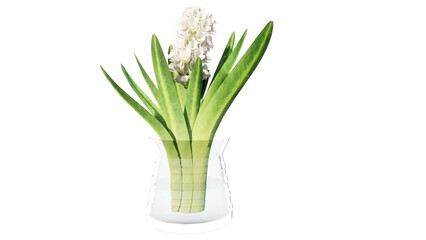 Illustration of flowers in a vase for table decoration in a room