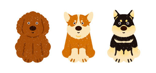 trendy simple cartoonish fluffy dog dogs puppy characters cute animal set full-body icons hand drawn illustration style picture book children's book poodle corgi shiba isolated background