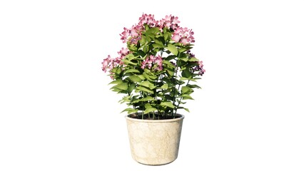 Illustration of flowers in a vase for table decoration in a room