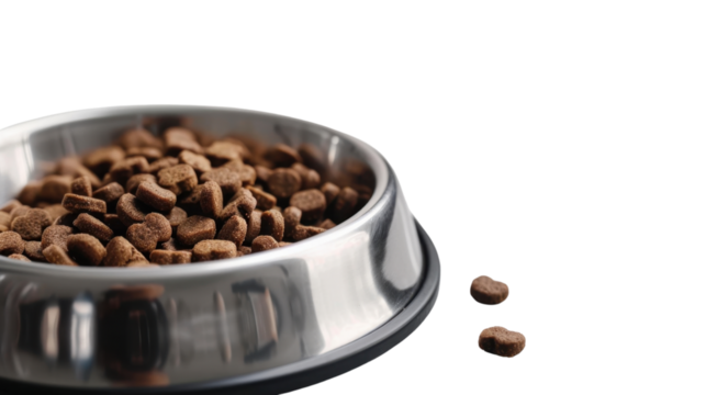 Dog food on transparent background