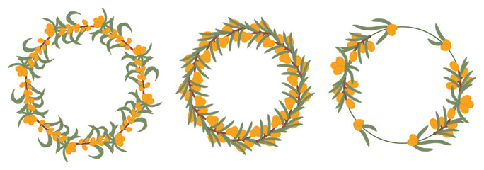 Illustration of three sea buckthorn berries wreaths with green leaves, featuring circular arrangements of the fruit and foliage.