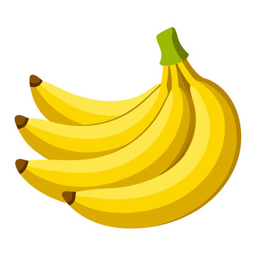 yellow bananas bunch isolated white background