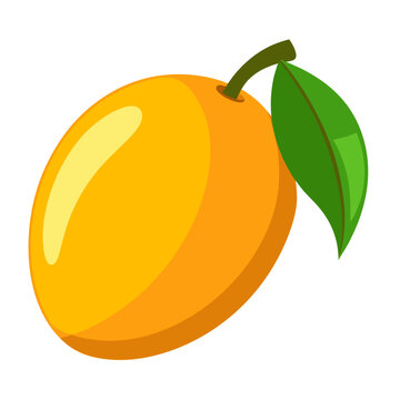 recommend clip art: mango colorful fruit. Modern abstract flat style. Natural tropical fruit. Vector illustration