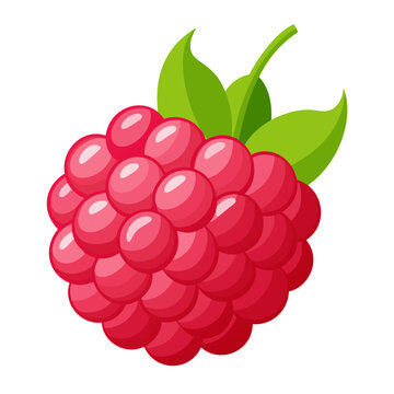 raspberry colorful fruit. Modern abstract flat style. Natural tropical fruit. Vector illustration