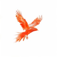 Obraz premium Medium shot of Baby fiery phoenix, isolated on a white background, bright and vivid tonality 