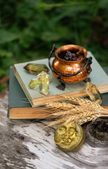 witch cauldron, crystals , spell books, wheat ears and symbolic moon amulet in forest, natural...