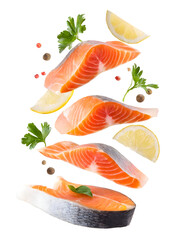 Fresh salmon slices with lemon and herbs, beautifully arranged for culinary presentation or healthy dining inspiration.