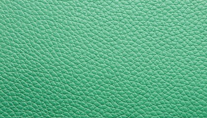 パステルグリーン色の革の背景画像（pastel green leather background image.）
