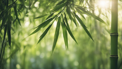 Naklejka premium Serene image of bamboo leaves with sunlight filtering through, creating a peaceful scene 