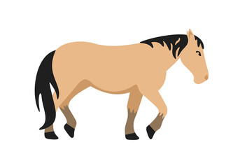 Cute cartoon horse graphic design