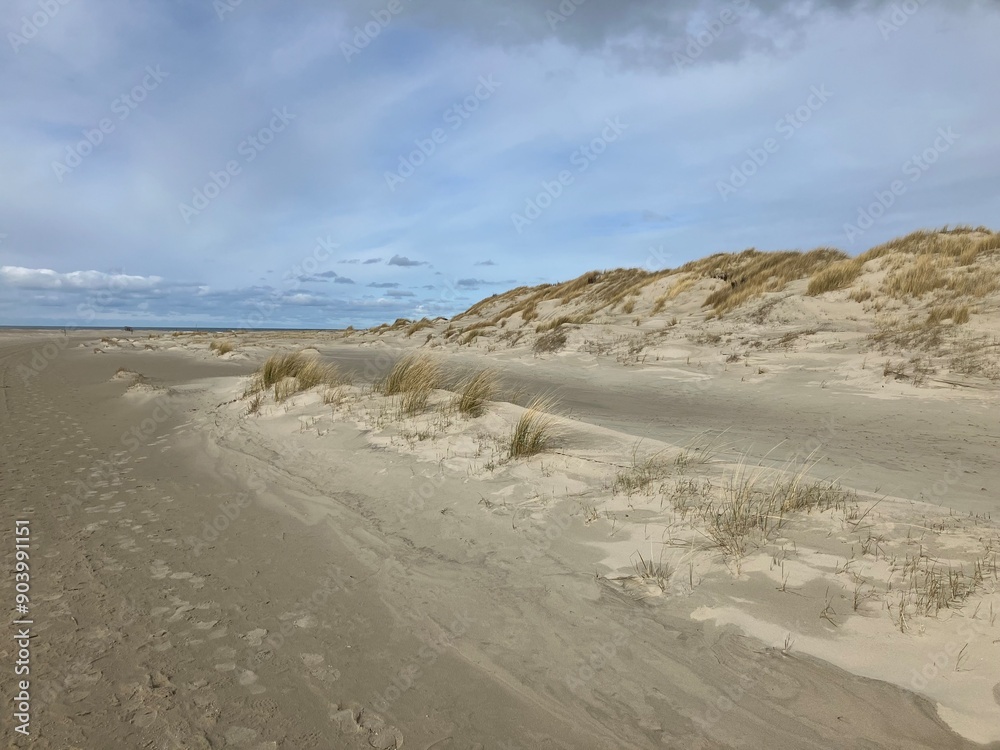 Canvas Prints Blick auf die Küstenlandschaft der Nordseeinsel Juist	