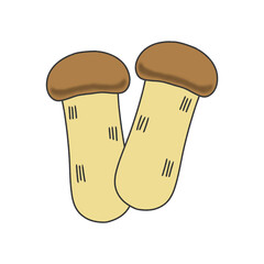 シンプル　松茸　イラスト