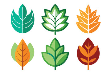 Fototapeta premium Adobe Illustrator Artwork