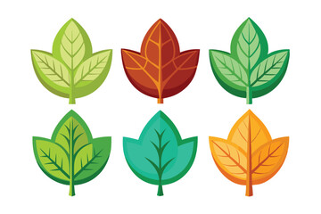 Obraz premium Adobe Illustrator Artwork