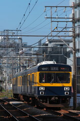 Fototapeta premium 東急池上線をのんびりと走る東急1000系「きになる電車」編成_2022/11/12撮影
