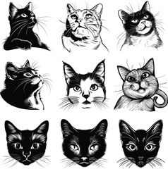 Artistic Cat Face in Black and White Style