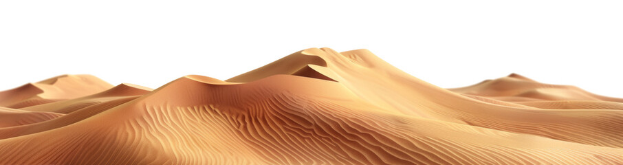 Sand dunes in the Sahara Desert.