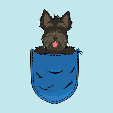 recommend clip art: 
                    Cute Scottish Terrier Dog in Pocket Clipart - dog in jeans pocket - Dog peeking face isolated illustration
                    