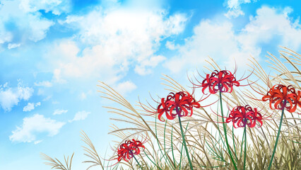 彼岸花とススキ　秋の風景　水彩画　素材　お彼岸　草原　野原　高原　田舎　行楽　ハイキング　晴れ　爽やか　シンプル　ポスター　16:9