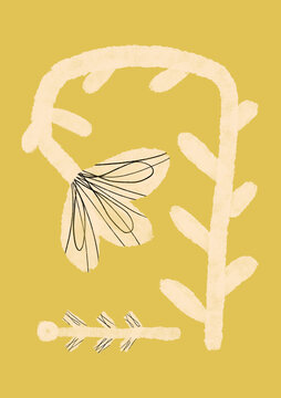 Botanical flower illustration