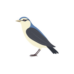 Bird minimalist vector illustration ,simple transparent graphic element .Isolated on white background