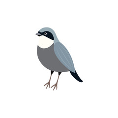 Bird minimalist vector illustration ,simple transparent graphic element .Isolated on white background